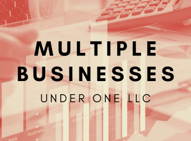 can i have multiple businesses under one llc